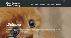 Desktop Screenshot of beechwoodcattery.com